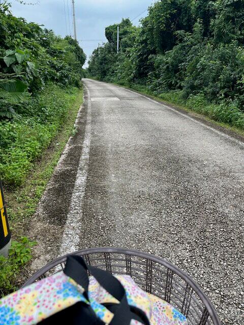 竹富島　道